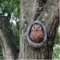 Design Toscano Octavius Knothole Owl Tree Statue & Reviews | Wayfair